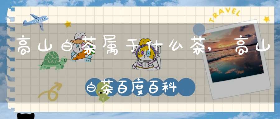 高山白茶属于什么茶,高山白茶百度百科