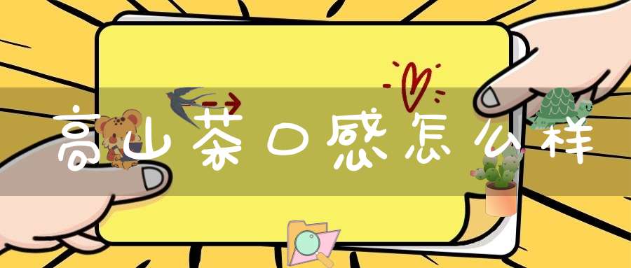 高山茶口感怎么样