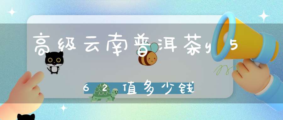 高级云南普洱茶y562值多少钱