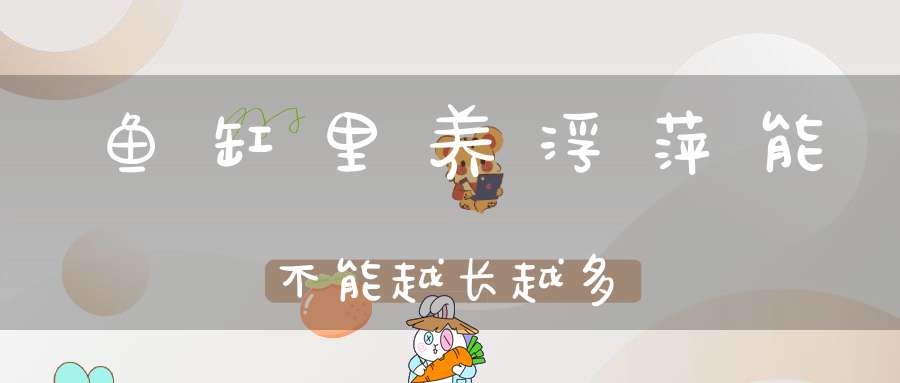 鱼缸里养浮萍能不能越长越多？