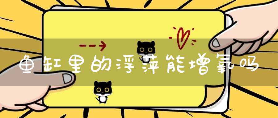 鱼缸里的浮萍能增氧吗？