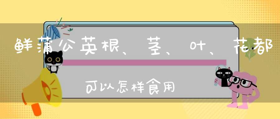 鲜蒲公英根、茎、叶、花都可以怎样食用？