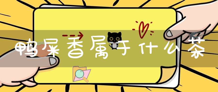 鸭屎香属于什么茶