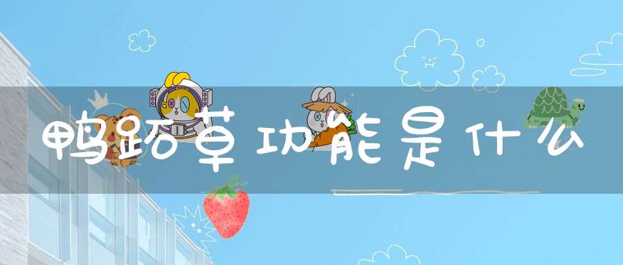 鸭跖草功能是什么？