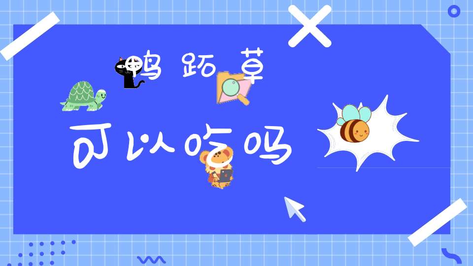 鸭跖草可以吃吗？