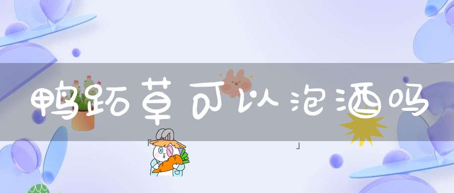 鸭跖草可以泡酒吗？