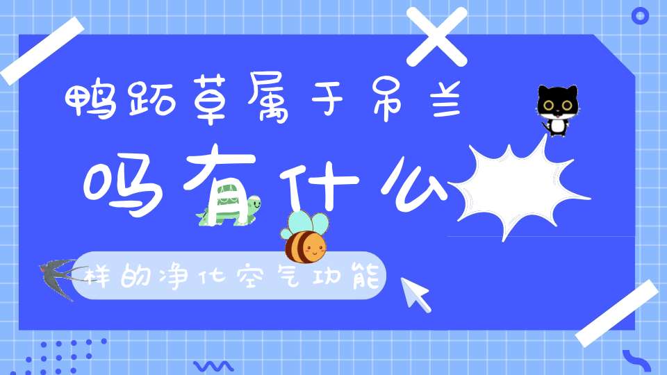 鸭跖草属于吊兰吗有什么样的净化空气功能可以放在卧室吗？