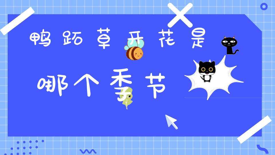 鸭跖草开花是哪个季节？