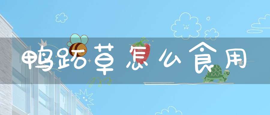 鸭跖草怎么食用？