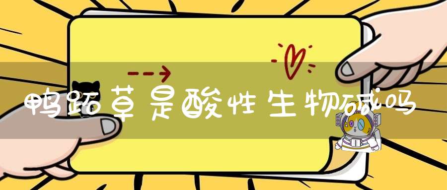 鸭跖草是酸性生物碱吗？
