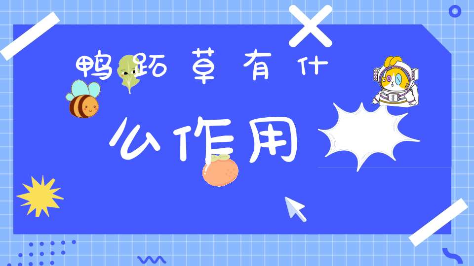 鸭跖草有什么作用？