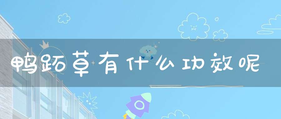 鸭跖草有什么功效呢？