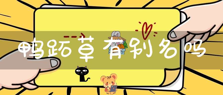 鸭跖草有别名吗？