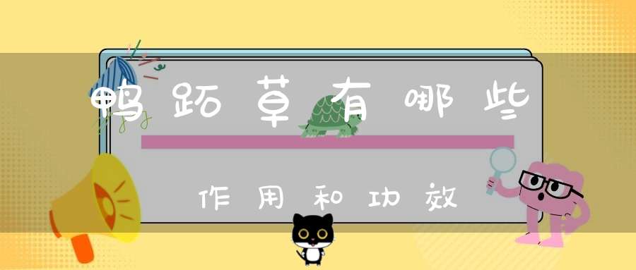 鸭跖草有哪些作用和功效？