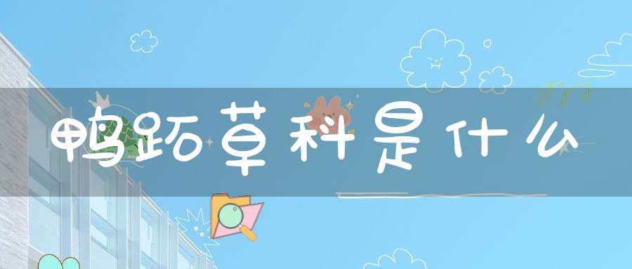 鸭跖草科是什么？