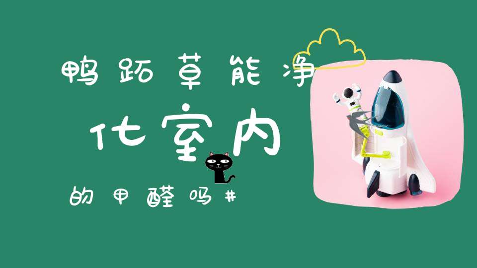 鸭跖草能净化室内的甲醛吗？