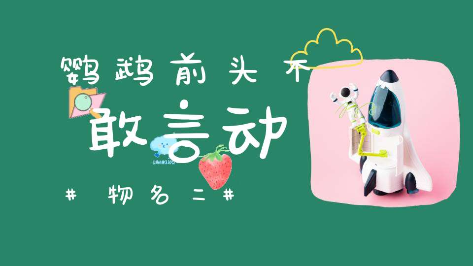 鹦鹉前头不敢言 动物名二