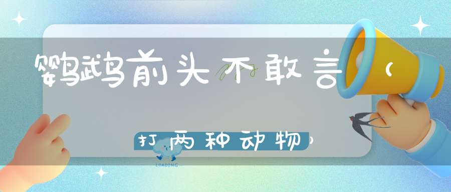 鹦鹉前头不敢言（打两种动物）