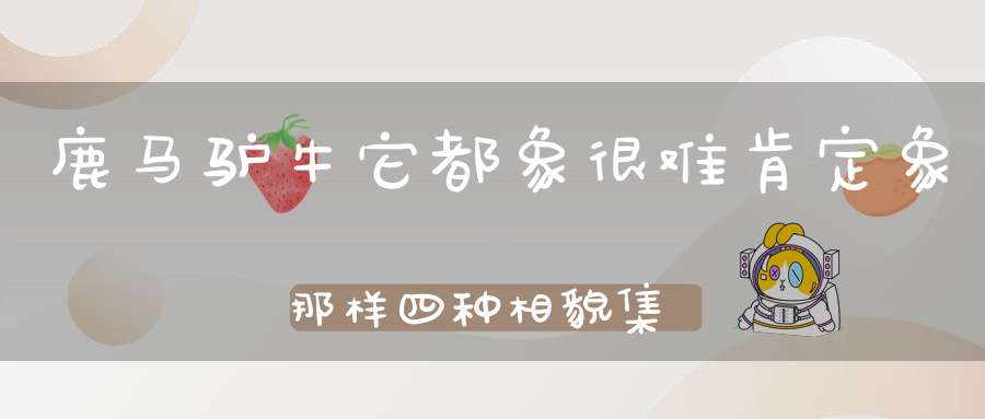 鹿马驴牛它都象，很难肯定象那样，四种相貌集一体，说象又都不太