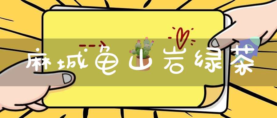 麻城龟山岩绿茶