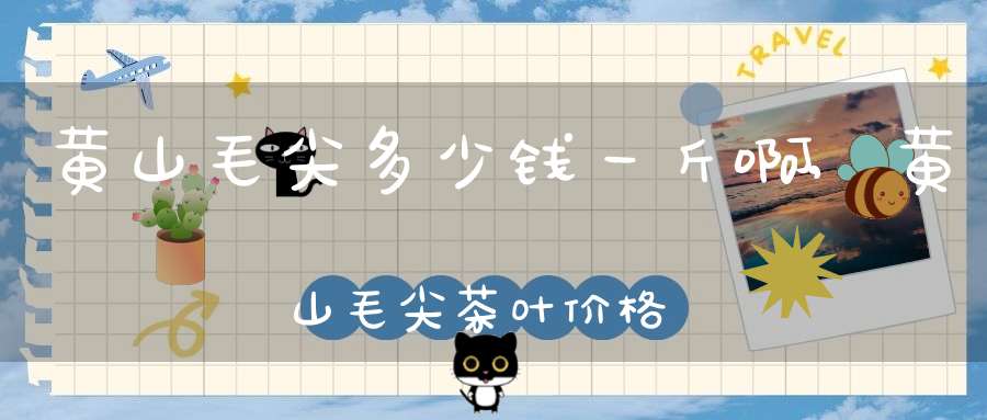 黄山毛尖多少钱一斤啊,黄山毛尖茶叶价格表2020