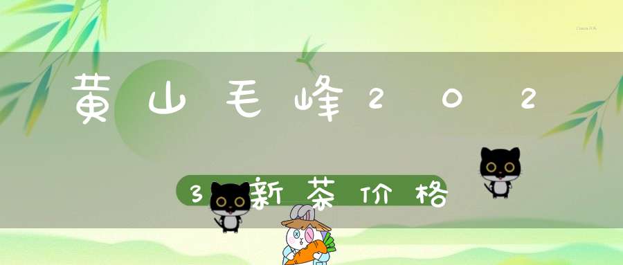 黄山毛峰2023新茶价格