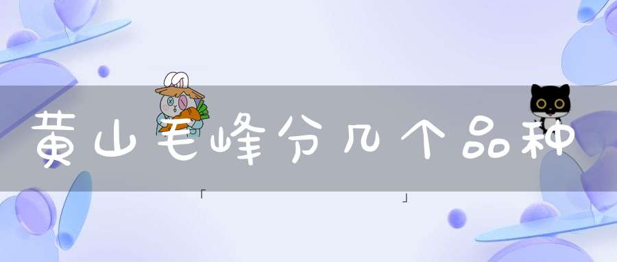 黄山毛峰分几个品种
