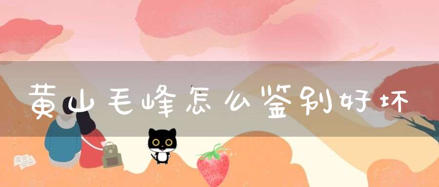 黄山毛峰怎么鉴别好坏