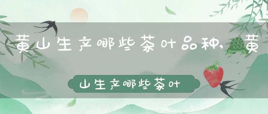 黄山生产哪些茶叶品种,黄山生产哪些茶叶品牌