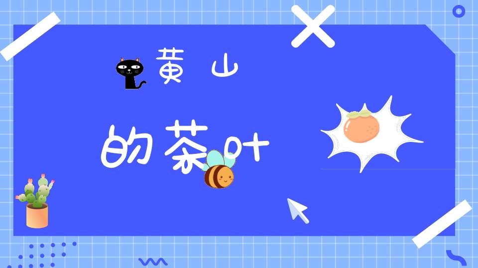 黄山的茶叶