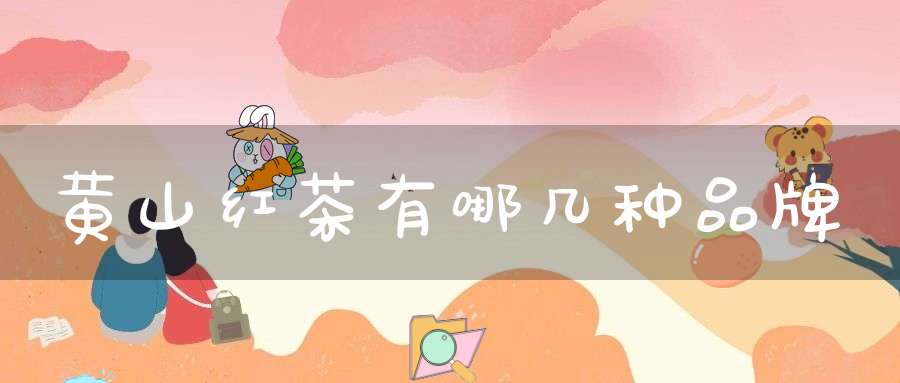 黄山红茶有哪几种品牌