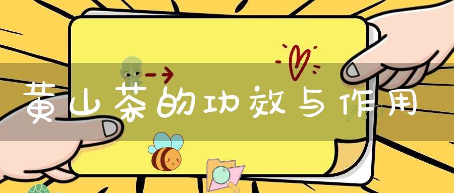 黄山茶的功效与作用