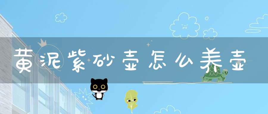 黄泥紫砂壶怎么养壶