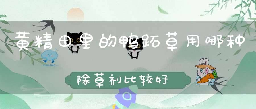 黄精田里的鸭跖草用哪种除草剂比较好？