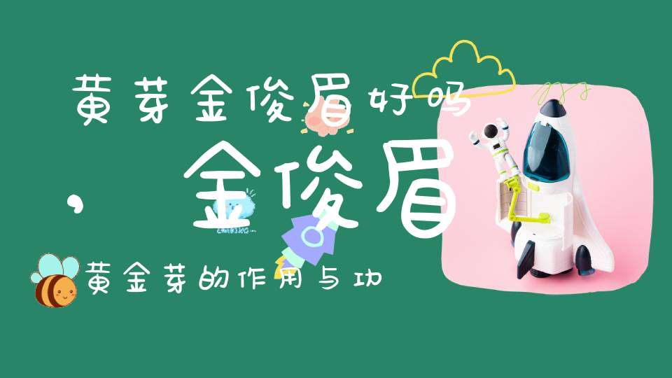 黄芽金俊眉好吗,金俊眉黄金芽的作用与功效