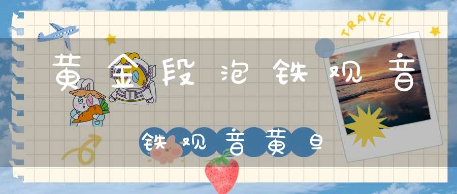 黄金段泡铁观音铁观音黄旦