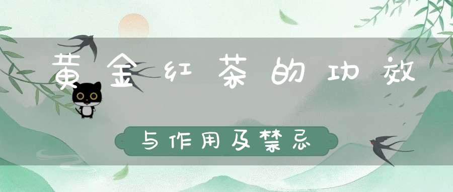 黄金红茶的功效与作用及禁忌