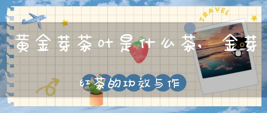 黄金芽茶叶是什么茶,金芽红茶的功效与作用