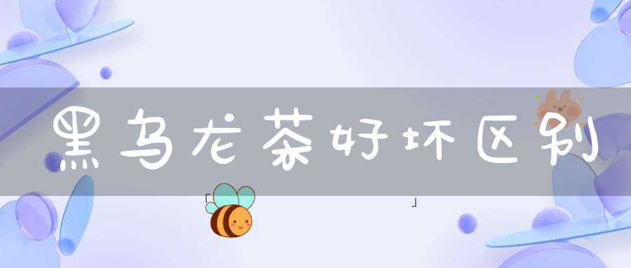 黑乌龙茶好坏区别