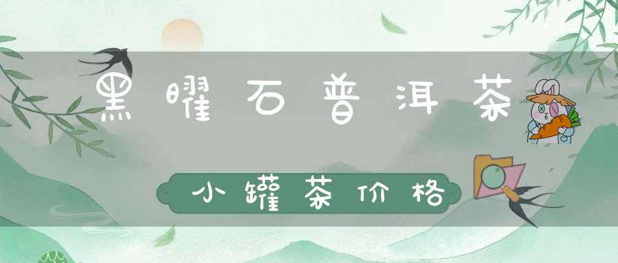 黑曜石普洱茶小罐茶价格