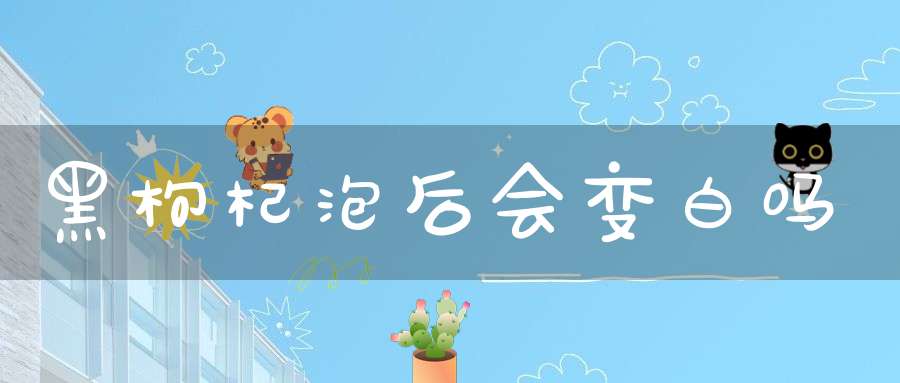 黑枸杞泡后会变白吗？