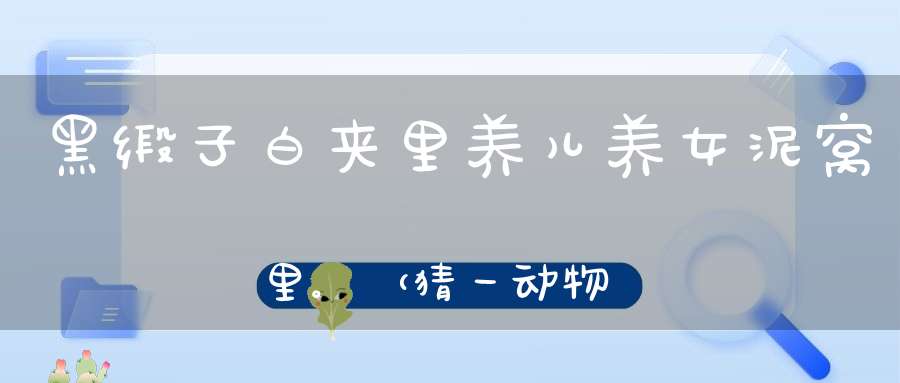黑缎子，白夹里，养儿养女泥窝里。 （猜一动物）