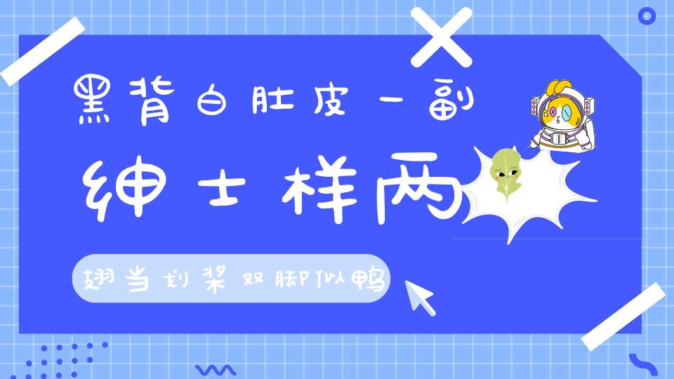 黑背白肚皮，一副绅士样，两翅当划桨，双脚似鸭蹼。（打一动物）