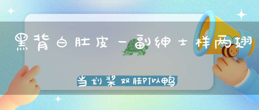 黑背白肚皮，一副绅士样，两翅当划桨，双脚似鸭蹼（打一动物）
