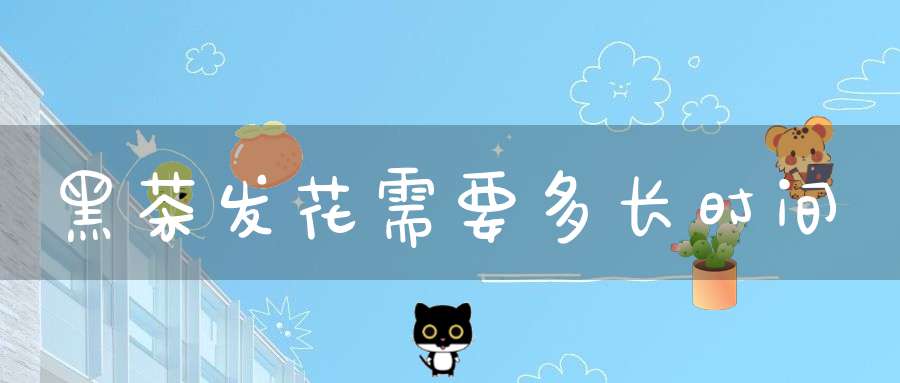 黑茶发花需要多长时间