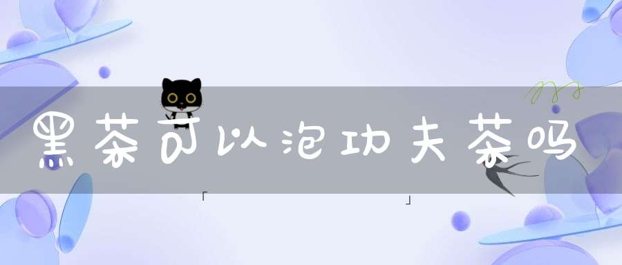 黑茶可以泡功夫茶吗