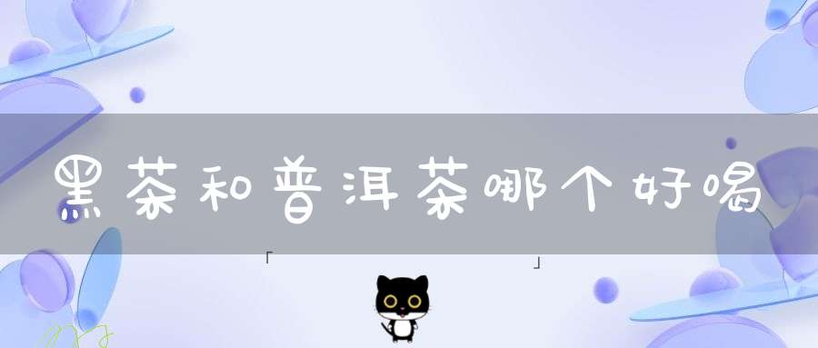 黑茶和普洱茶哪个好喝