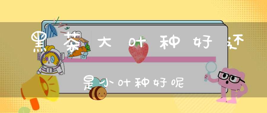 黑茶大叶种好还是小叶种好呢