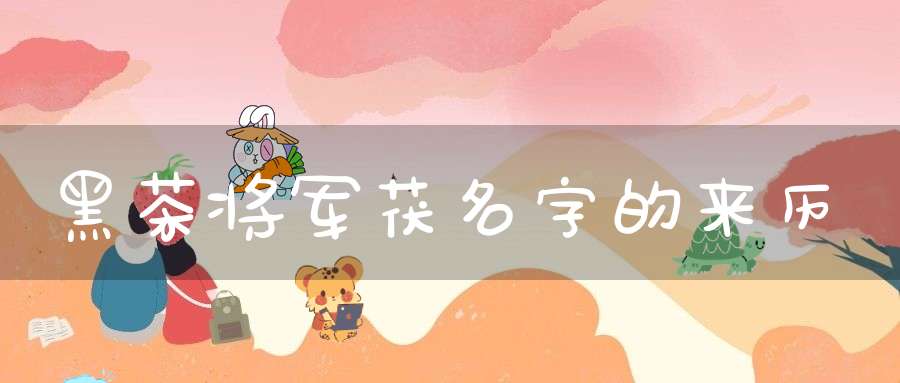 黑茶将军茯名字的来历