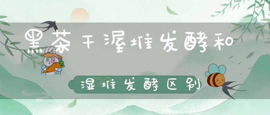 黑茶干渥堆发酵和湿堆发酵区别
